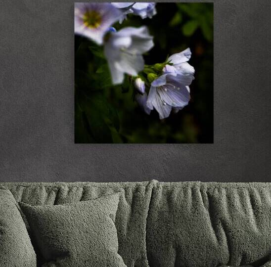 Flirt by Resonant Reflections