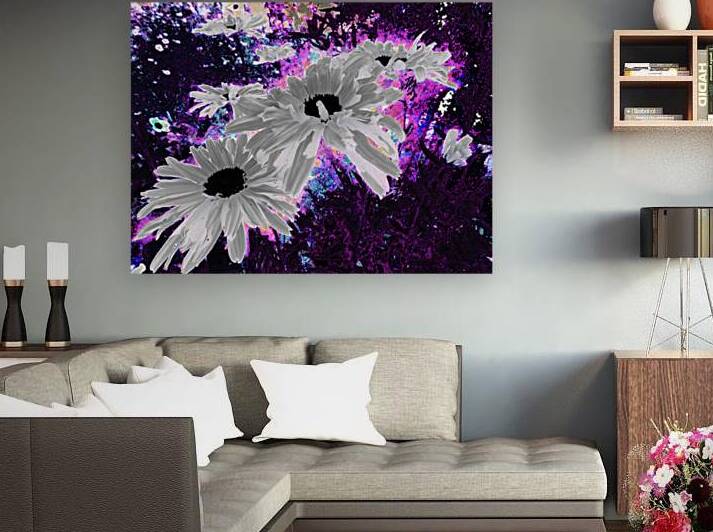 Abstract Monochrome Daises on a Coloured Background by Catriona Roberts Nature Photography and Designs
