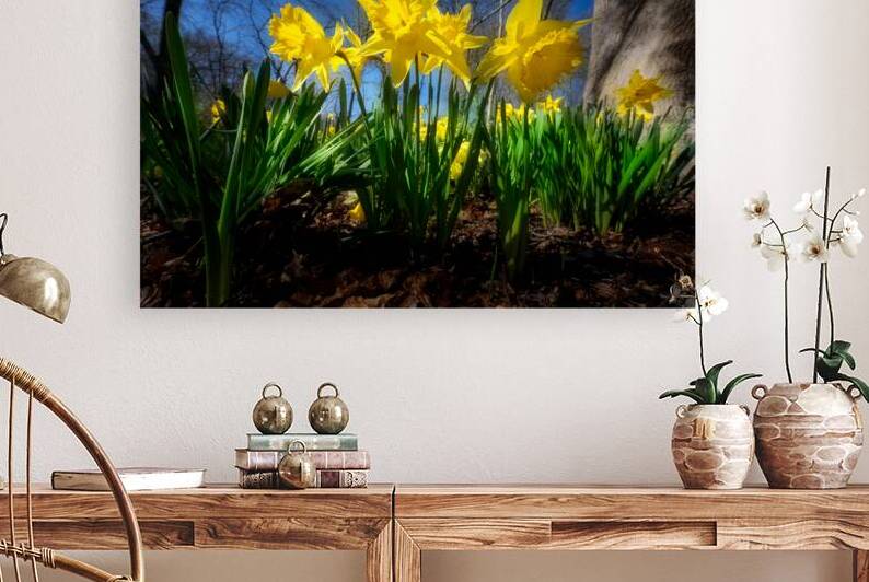 Trumpeting the Arrival of Spring by Rick Berk