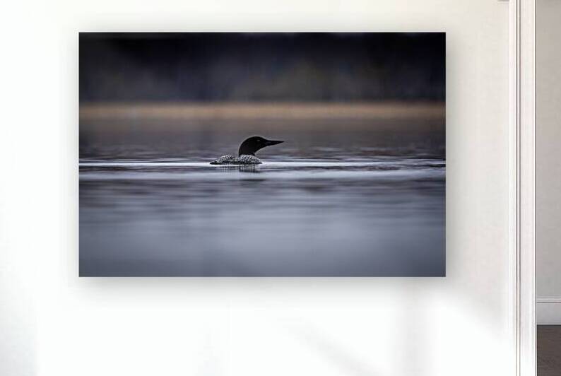 Huard Ile aux noix by Martin Bernier