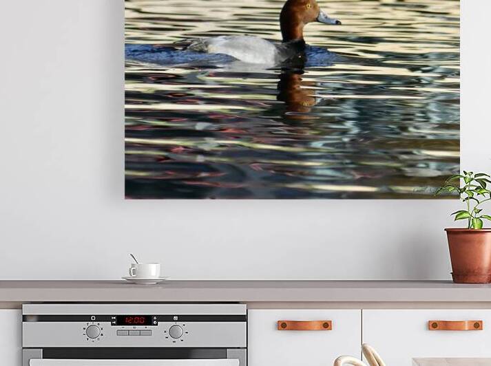 Redhead Duck with Reflection ~ Gun Lake by Cheryl A Johnson