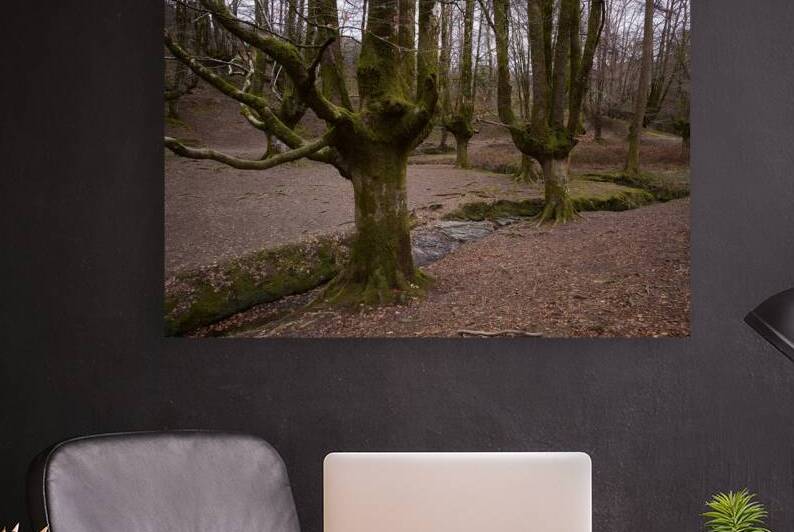 In Basque Country by Images By Jon Evan