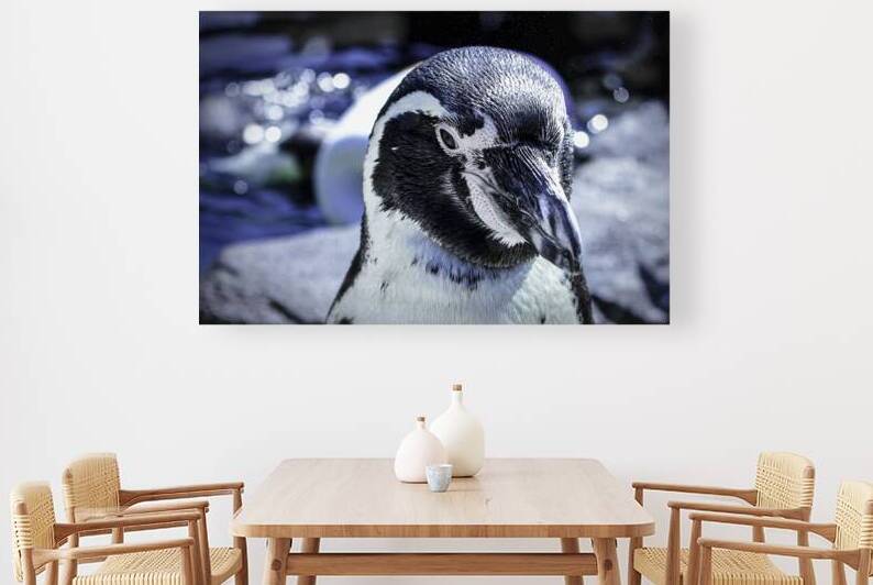 Penguin 2 by chris bankston