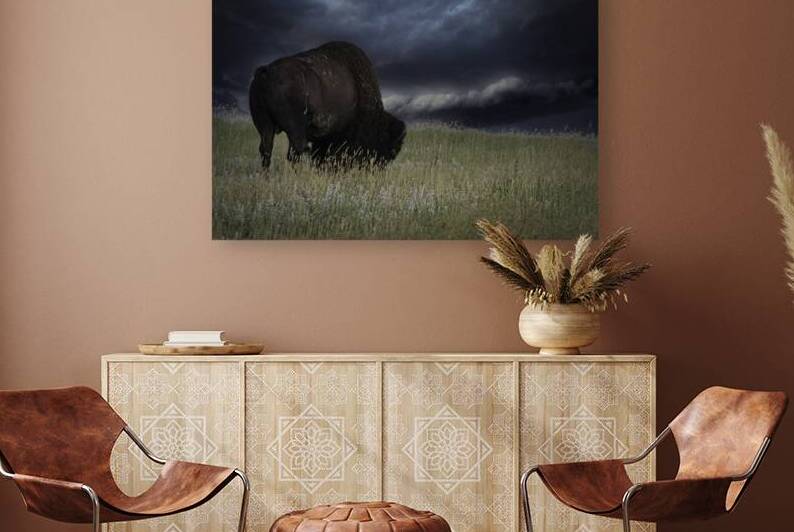 FearlessBuffalo by chris bankston