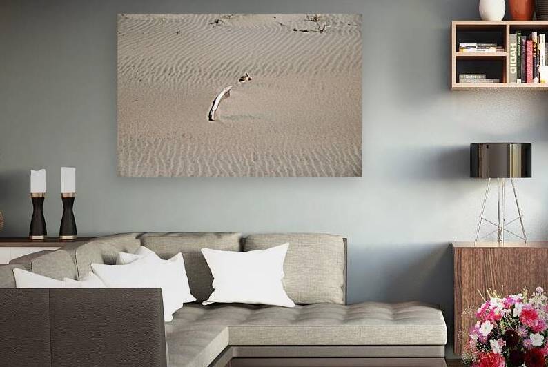 Sand Waves Print by Stephen Emms