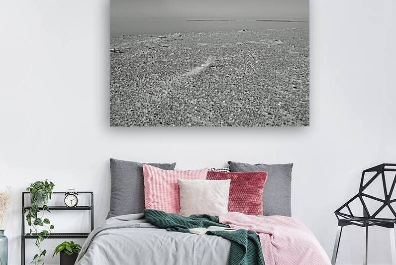 Feather in the Sand Print by Stephen Emms