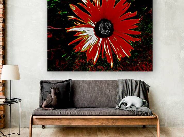 Abstract Red Daisy by Catriona Roberts Nature Photography and Designs