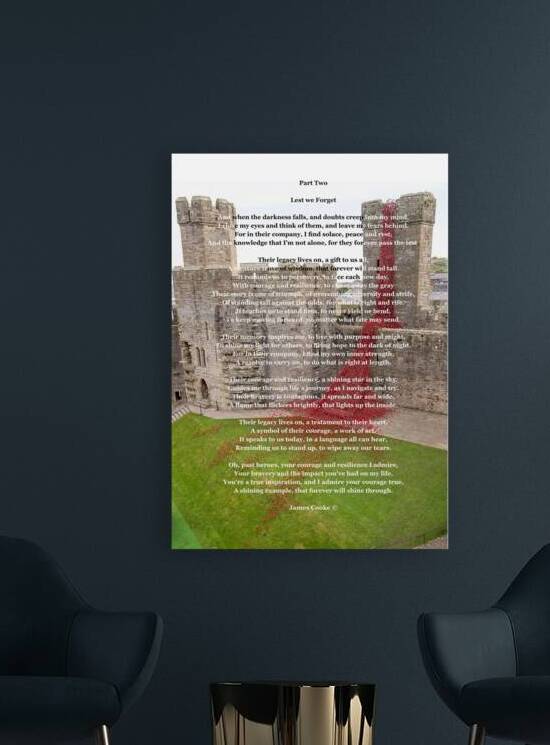 Par two Lest We  Forget  12 by James Cooke