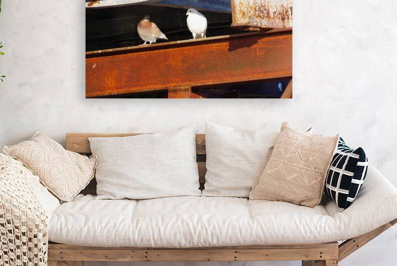 Two pigeons on a beam by Dustin Carroll