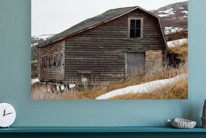 Moratorium memories  by Dustin Carroll