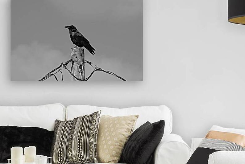 The Scaveneger  by Dustin Carroll