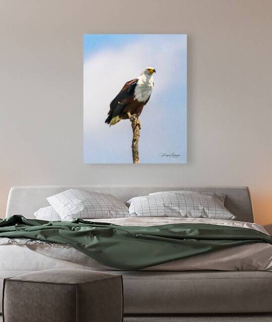 Perche au Milieu de la Savane by Veronique Lefrancois