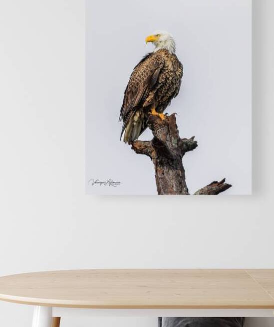 Repos Stratégique by Veronique Lefrancois