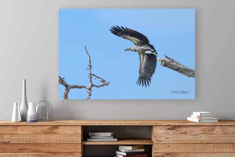 L Envolée by Veronique Lefrancois