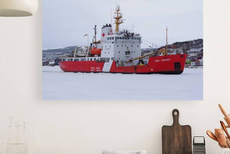 The Ann Harvey by Dustin Carroll