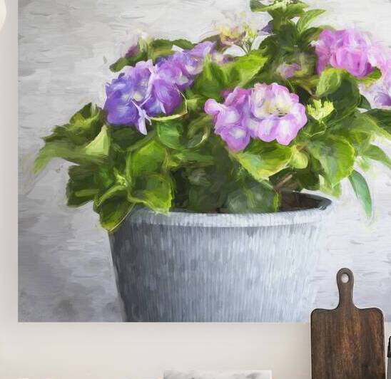 Hydrangea Macrophylla Blue Hydrangea X2 6 by Rich Franco