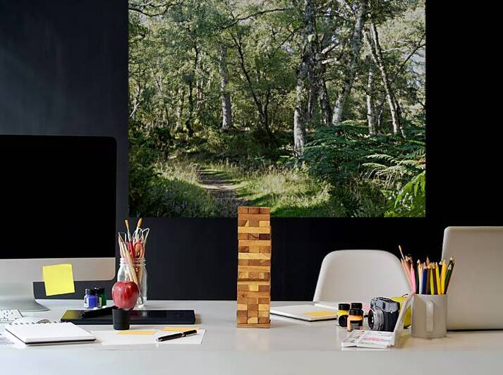 Natures Peaceful Walk Through The Scottish Highlands by Catriona Roberts Nature Photography and Designs