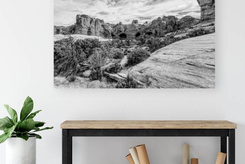 Cove Of Caves Utah Grayscale by Jennifer White