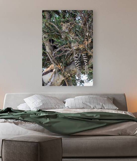 Suspendu entre Ciel et Terre by Veronique Lefrancois