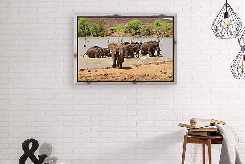 Elephants having a bath 3591 by Thula-Photography