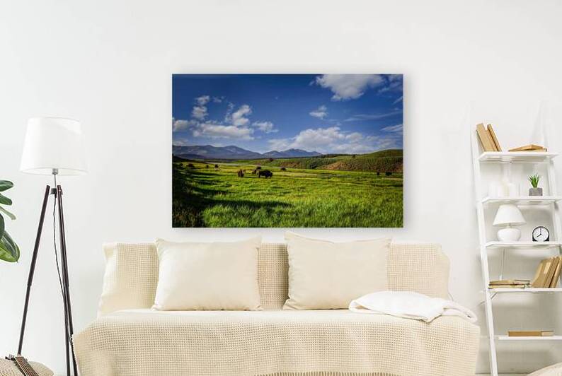 Bison Grazing Along the Yellowstone River Surrounded by Scenic M by Gestalt Imagery