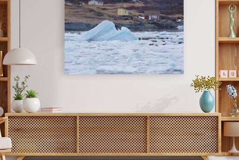 Goose cove seals 5 by Dustin Carroll