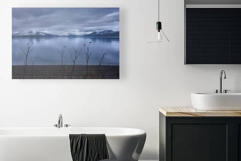 Alaskan Beach Folliage Icy Strait Point by Ryan Cameron