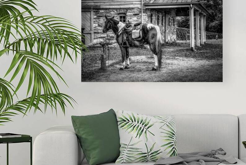 Moses Cone Estate Horse Blue Ridge Parkway NC by Shelia Hunt Photography