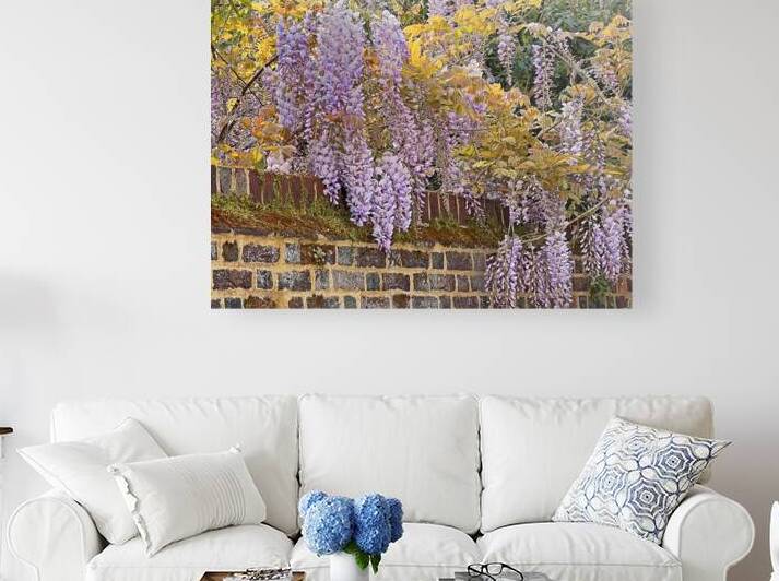 Wisteria Over The Wall by Gill Billington