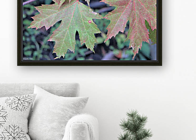 green that turns red by Camille Côte