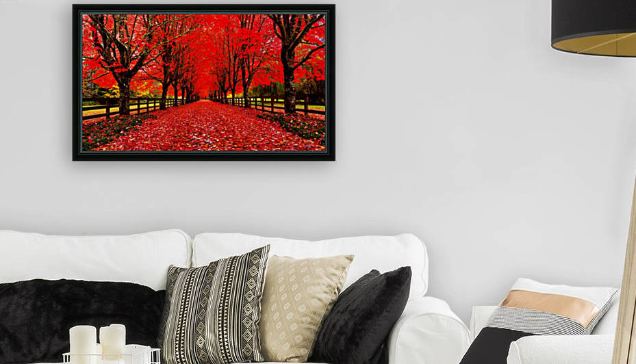 Red Carpet by Jongas Photo