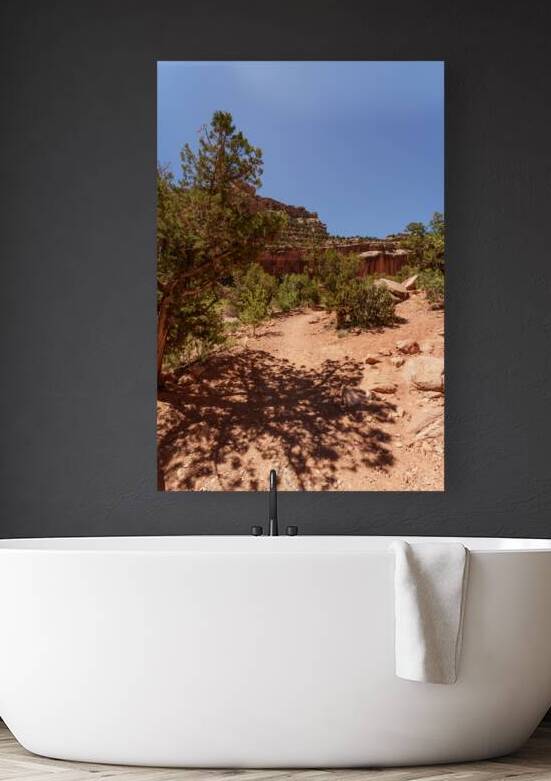 Shadows On Grand Wash Trail by Jennifer White