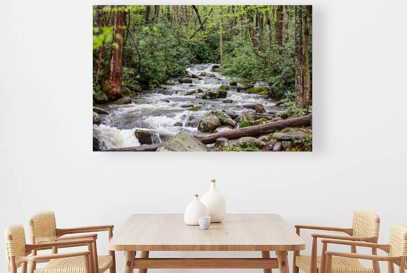 Mountain Stream by Vividscope