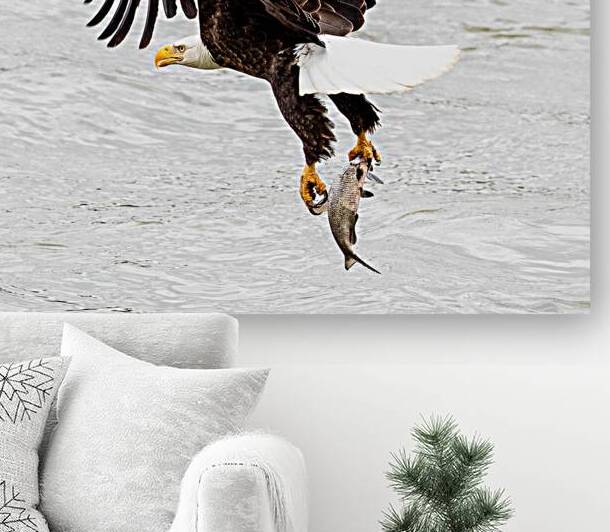 Upstroke by Vividscope