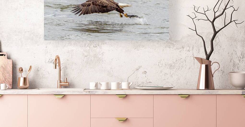 No Photos Please by Vividscope