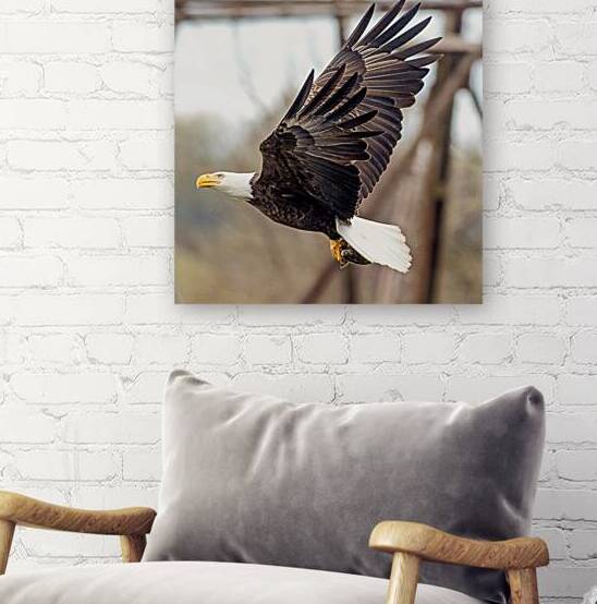 Rising by Vividscope