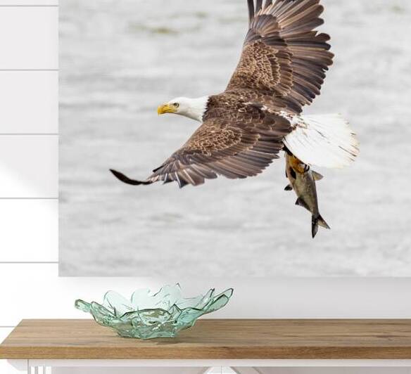 Its Dinner Time by Vividscope