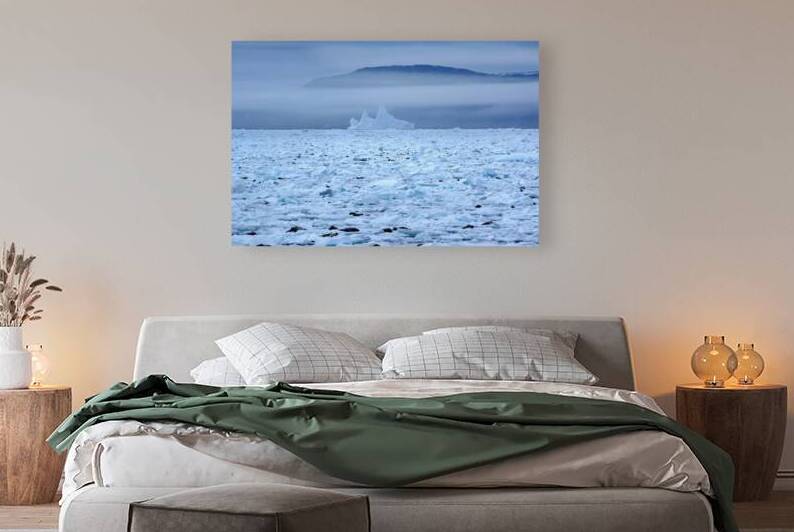 Goose cove seals 6 by Dustin Carroll