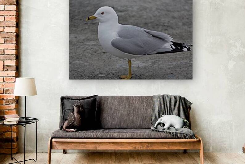 Seaside Sentinel  by Dustin Carroll