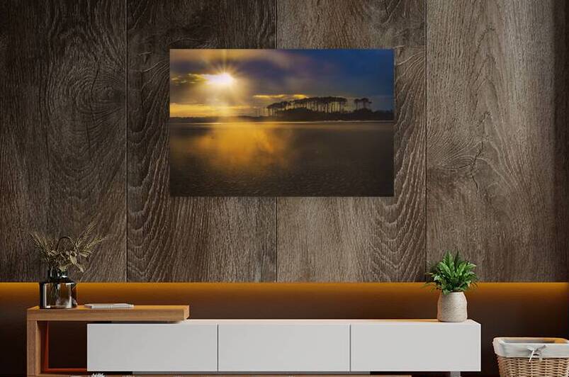 Myrtle Beach Point Tree Sunset by Norma Brandsberg Photography