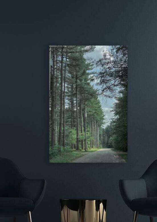 Lined Trees Art Print - Adirondack Mountains  by By:Zo Art Print Collection   by Maria Desnoyers