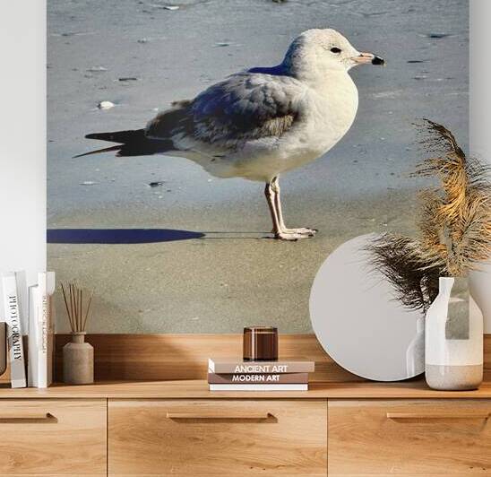 Good Morning Sunshine by Bill Swartwout Photography