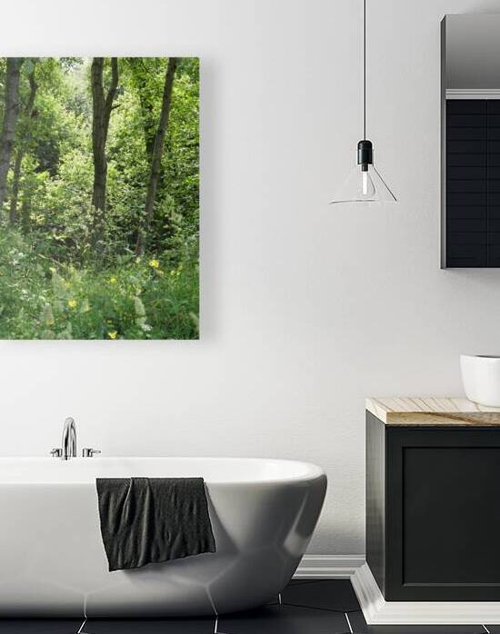 Forest Spring in the Scottish Highlands by Catriona Roberts Nature Photography and Designs