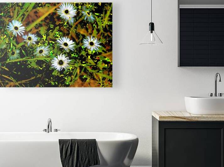  Abstract Daises                                                                                                                      by Catriona Roberts Nature Photography and Designs