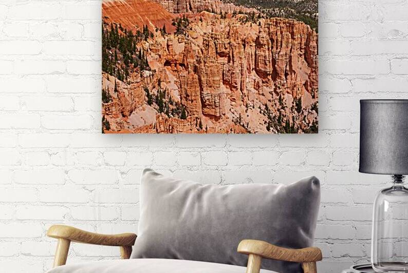 Hoodoos At Rainbow Point Bryce Canyon by Jennifer White