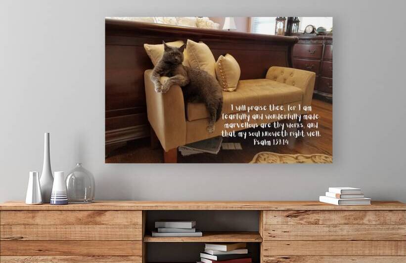 203 by Charles Howard