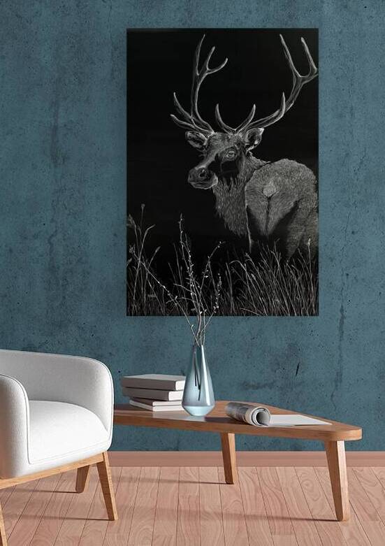 FIRST LIGHT | Twilight Keepers Series by K ABBS mud ink studio