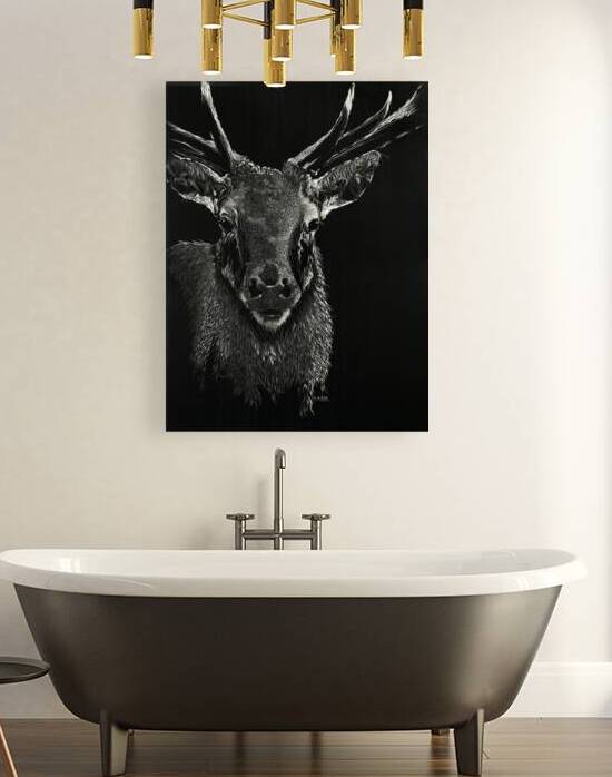 LAST SHADOW | Twilight Keepers Series by K ABBS mud ink studio