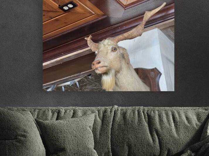 IMG 1897 by James Anthony Lee