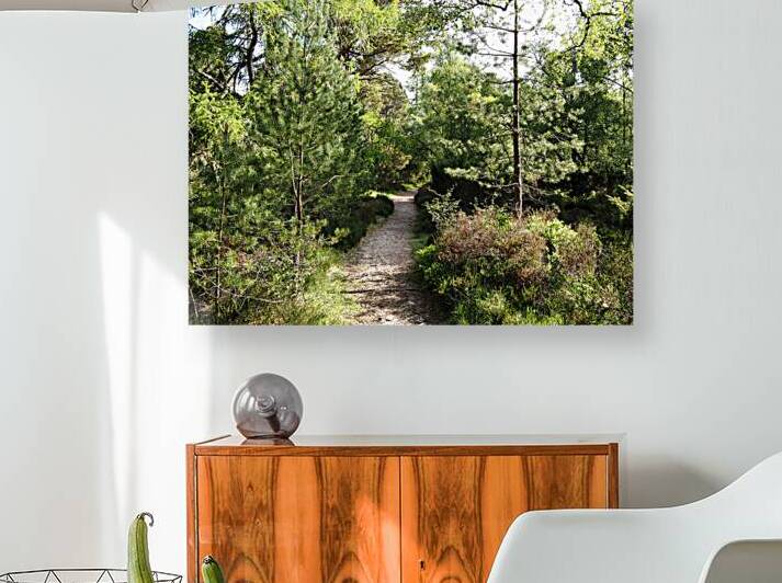   Springs Welcome in the Scottish Highlands                                                                                                                     by Catriona Roberts Nature Photography and Designs